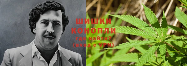 Альфа ПВП Надым