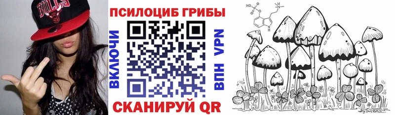 Псилоцибиновые грибы прущие грибы  наркотики  Луга 