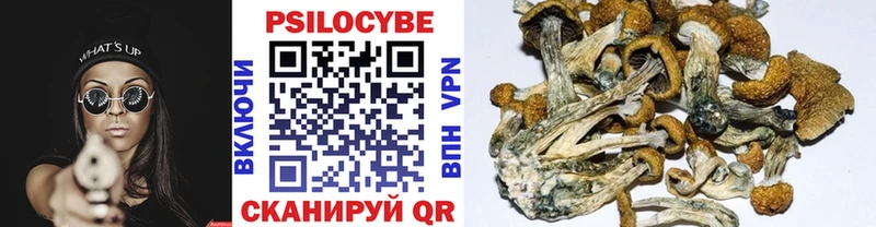 Псилоцибиновые грибы прущие грибы Луга