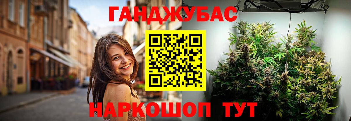 Конопля план Луга